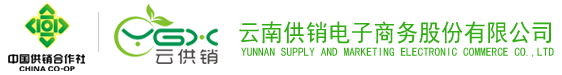 XKTY星空电子商务股份有限公司